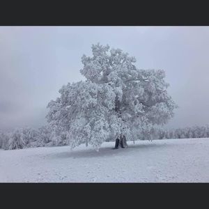 Meet your Posher, Lucy